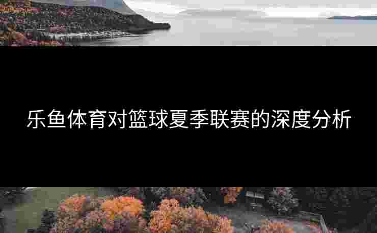 乐鱼体育对篮球夏季联赛的深度分析