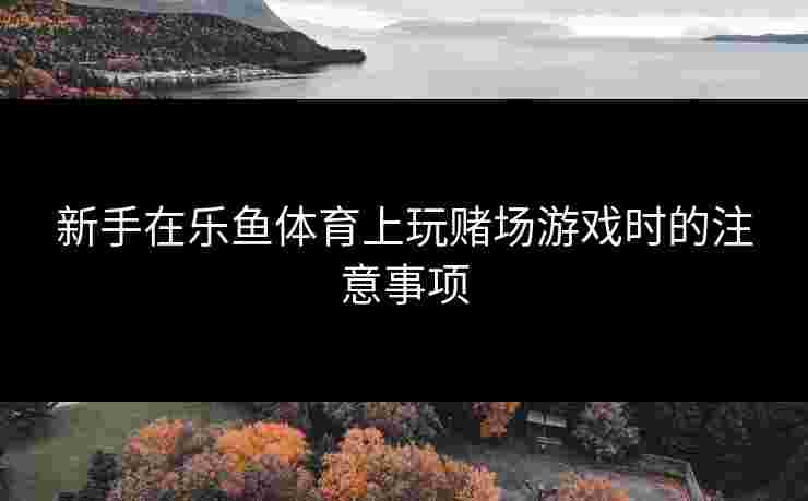 新手在乐鱼体育上玩赌场游戏时的注意事项