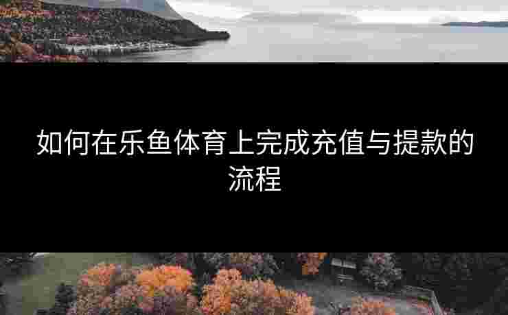 如何在乐鱼体育上完成充值与提款的流程